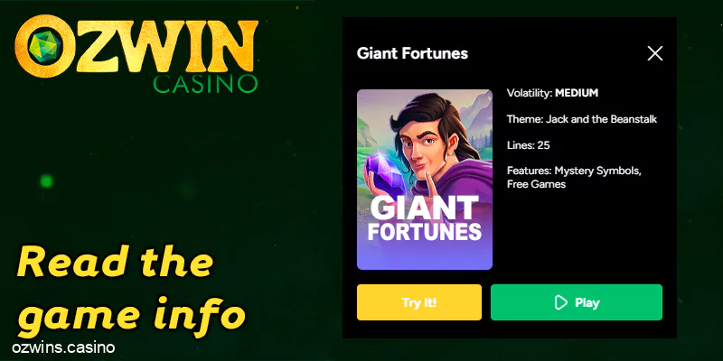 Read the game Info - Ozwin